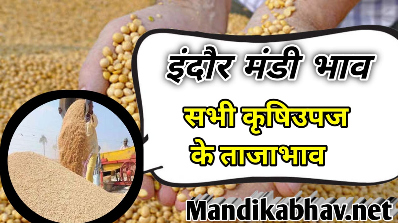 Indore mandi ka Bhav इंदौर मंडी में सोयाबीन मैं बड़ा बदलाव डालर चने में आई तेजी जाने आज कितनी तेजी मंदि आई