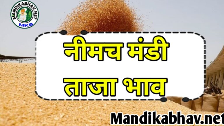 Neemach Mandi ka Bhav नीमच मंडी के ताजा आज के सभी जिंसों के भाव !