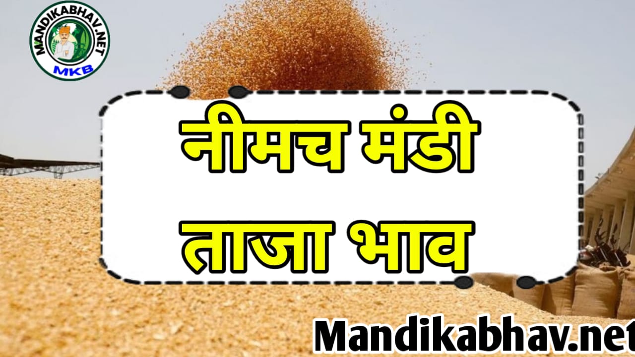 Neemach Mandi ka Bhav नीमच मंडी के ताजा आज के सभी जिंसों के भाव !