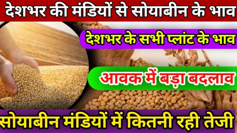 Soyabean mandi rate Today देखें आज मंडी और प्लांट में कितनी तेजी मंदी रही Soyabean mandi rate Today देखें आज मंडी और प्लांट में कितनी तेजी मंदी रही