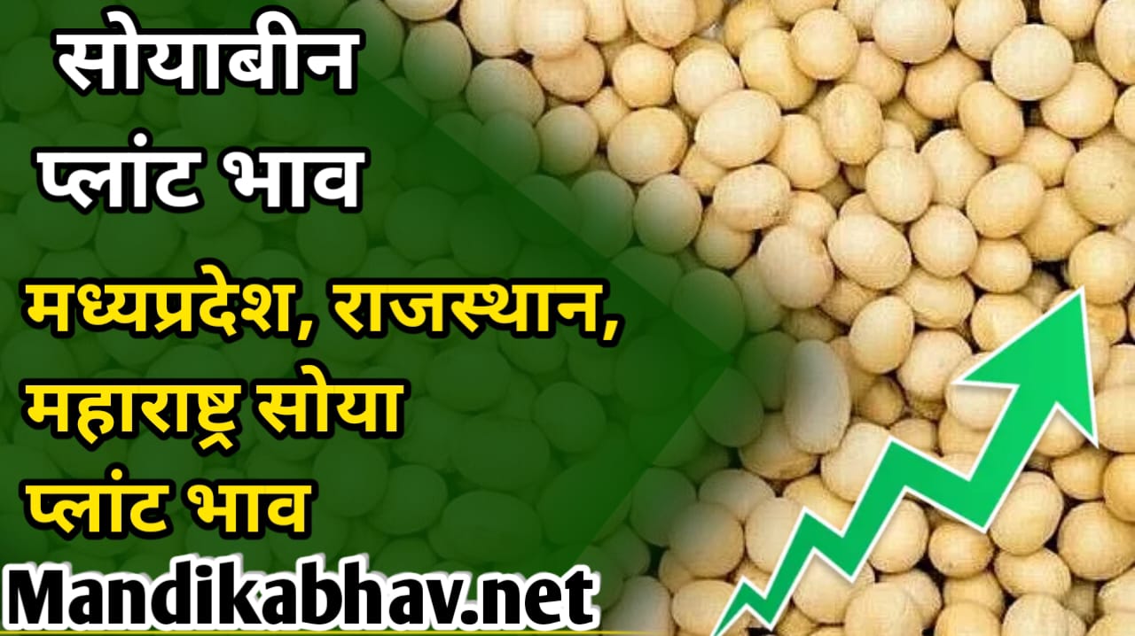 Soyabean plant rate Today आज सोया प्लांट आईं तेजी देखे कितना रहा मजबूत बाजार
