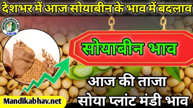 Today soyabean mandi rate आज मंडी में आवक की भरमार तेजी या मंडी जाने
