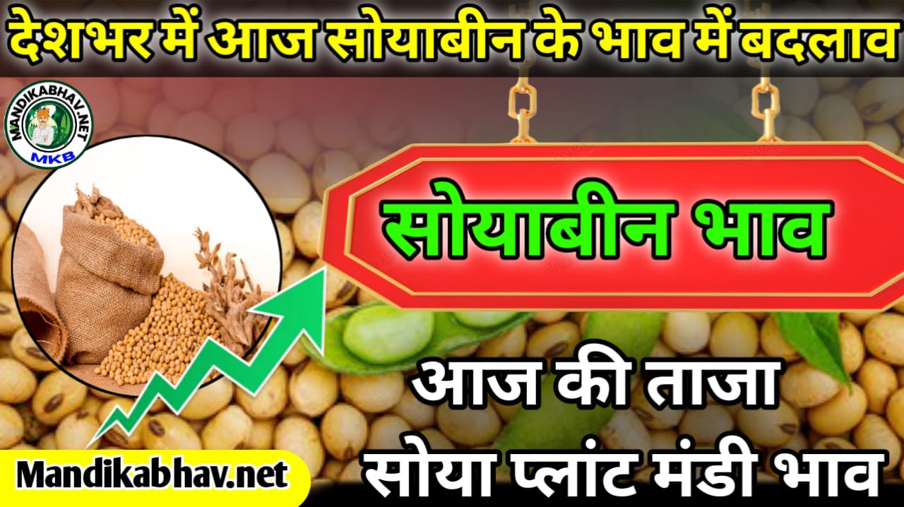 Today soyabean mandi rate आज मंडी में आवक की भरमार तेजी या मंडी जाने