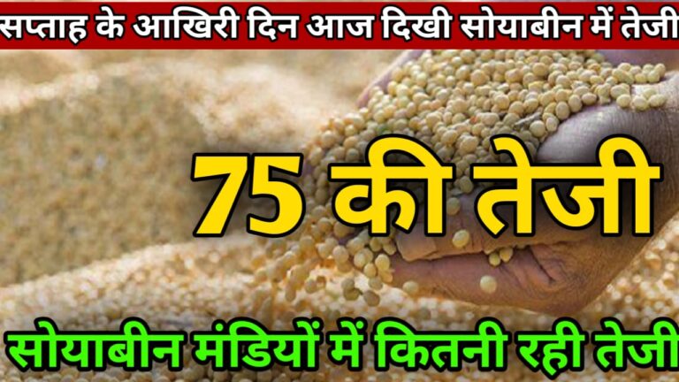 आज सोयाबीन में आई बड़ी तेजी देशभर की प्रमुख मंडियों के ताजा सोयाबीन भाव i