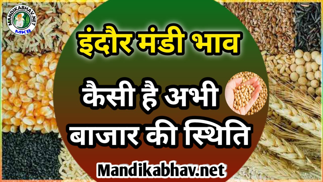 इंदौर मंडी का आज का ताजा भाव soyabean rate indore mandi