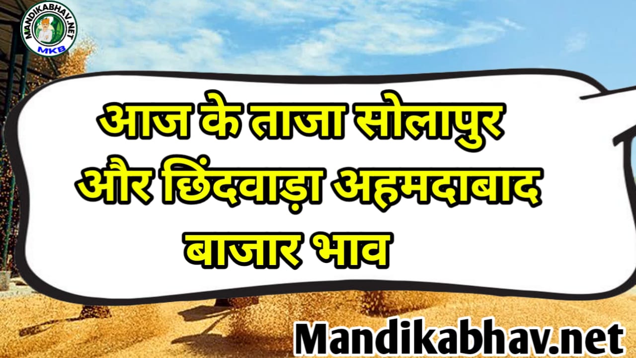 छिंदवाड़ा अहमदाबाद बाजार भाव ; सभी जिंसों के कितना तेजी मंदी देखने को मिल रही है