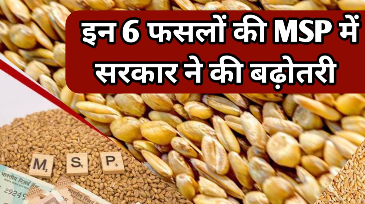 सरकार ने दिया किसानों को दिवाली तोहफा फसलों की MSP की गई बड़ी बढ़ोतरी !