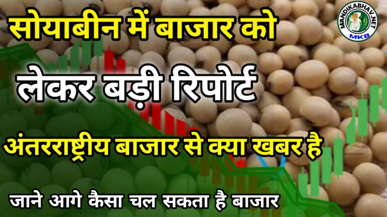 Soybean market news update : सोयाबीन के भाव में लगातर गिरावट के बाद क्या अब आ सकती सोयाबीन में तेजी ?
