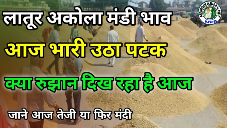 Latur and Akola mandi Bhav : लातूर और आकोल में कृषि उत्पादों की कीमतें और आवक की जानकारी !