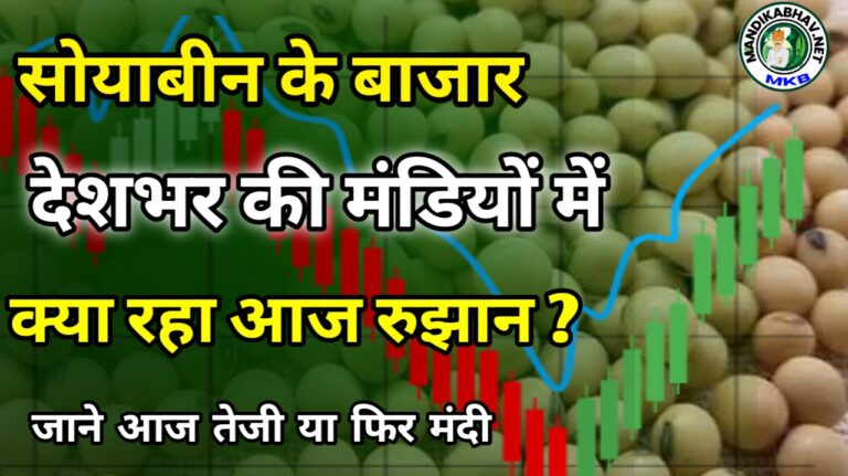 Soyabin ka Bhav : आज देशभर में सोयाबीन में तेजी या फिर रही मंदी !