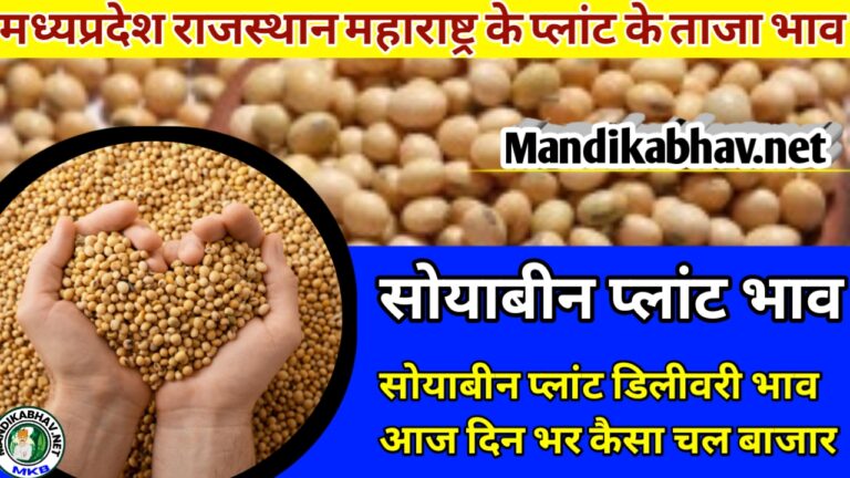 Soybean plant delivery rate today: आज कैसे खरीदारी चली सोयाबीन प्लांट में सोयाबीन की तेजी में या फिर मंदी में ?