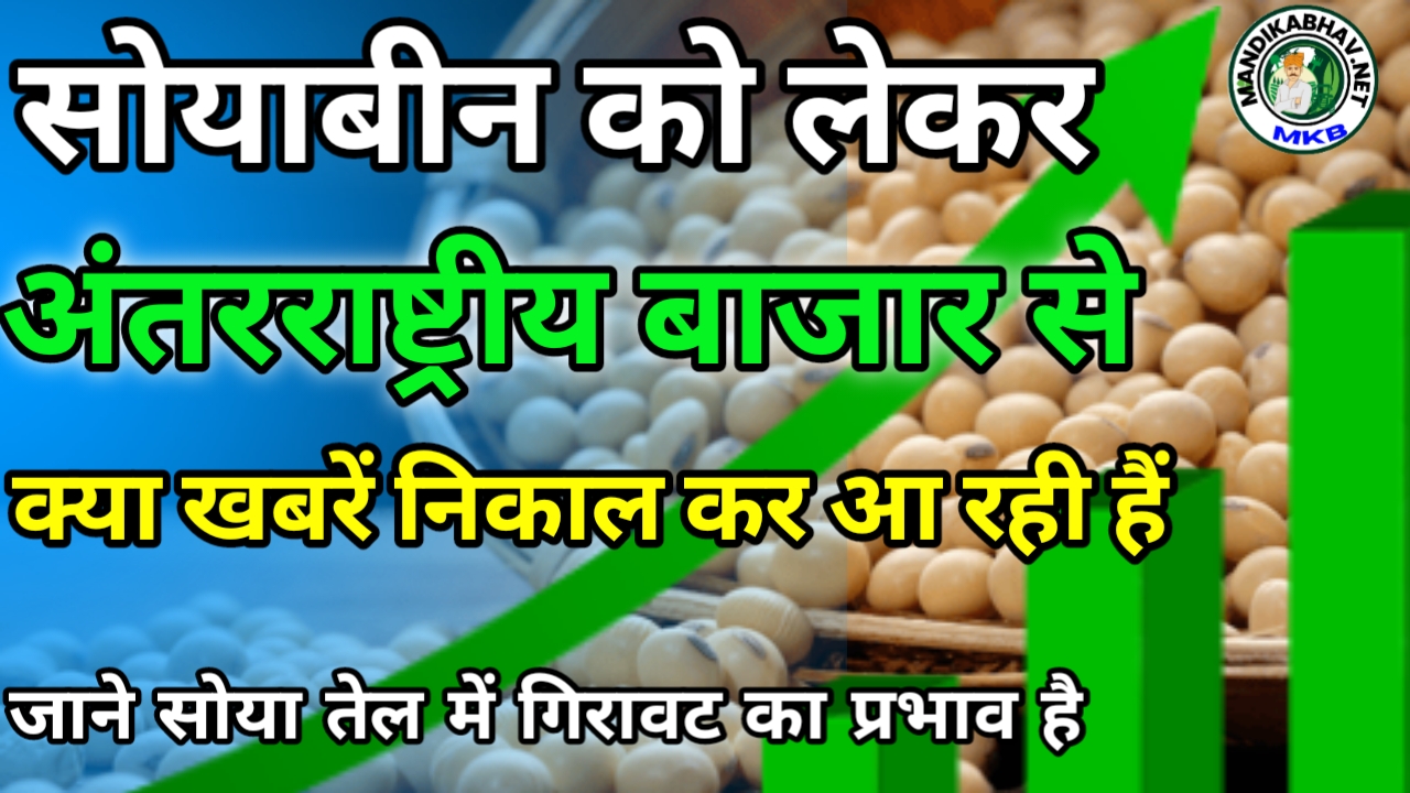 Soybean international market news: सोयाबीन को लेकर अंतरराष्ट्रीय स्तर पर क्या खबरें आ रही है