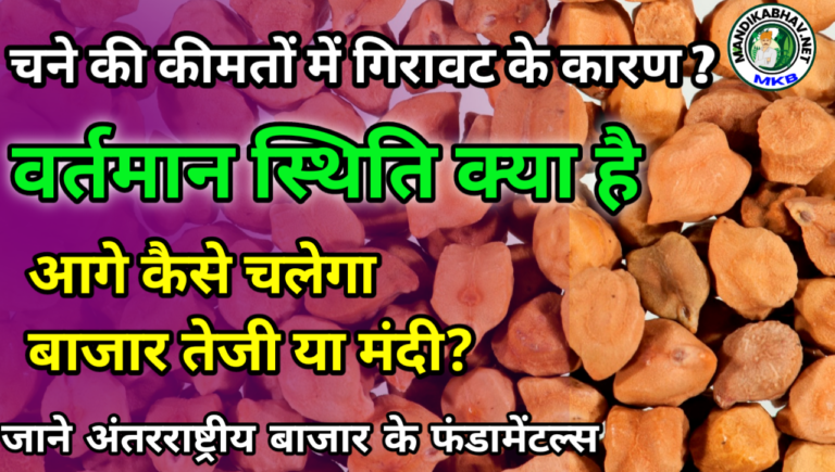 gram market news: आगे कैसा चलेगा चना का बाजार तेजी की संभावना कितनी है?