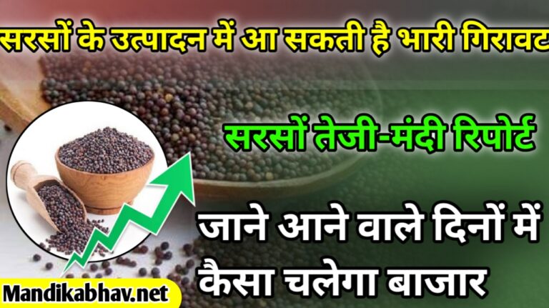 Mustard up-down report:सरसों की तेजी-मंदी रिपोर्ट: मांग में कमी और उत्पादन में गिरावट की संभावना