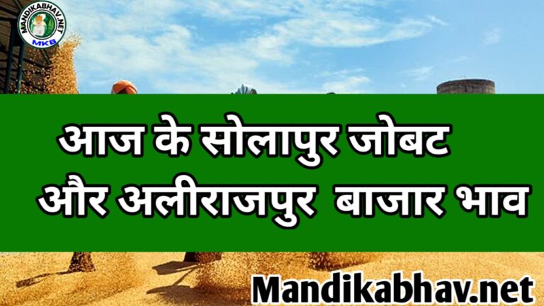 Solapur, Jobat and Alirajpur Mandi Update : सोलापुर जोबट और अलीराजपुर व्यापार में चना मूंग गेहूं आदि की स्थिति जाने