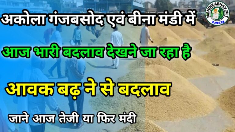 Mandi Update : अकोला गंज बासौदा और बीना व्यापार में चना मूंग गेहूं आदि की स्थिति जाने