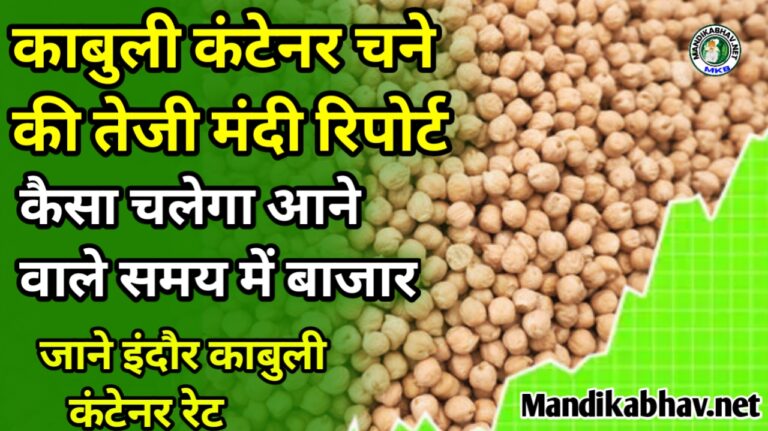 Kabuli Container news: इस पोस्ट के जरिए किसान दोस्तों व्यापारी भाइयों आप इंदौर काबुली चना कंटेनर रेट एवं काबुली कंटेनर की तेजी मंदी रिपोर्ट जान सकते हैं