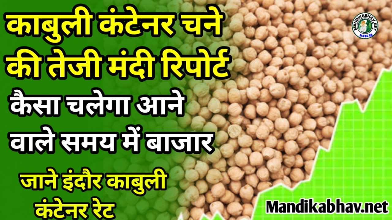 Kabuli Container news: इस पोस्ट के जरिए किसान दोस्तों व्यापारी भाइयों आप इंदौर काबुली चना कंटेनर रेट एवं काबुली कंटेनर की तेजी मंदी रिपोर्ट जान सकते हैं