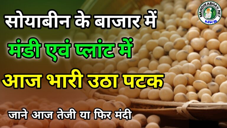 Soyabin ka bhav : सोयाबीन आवक और कीमतें बदलाव मध्यप्रदेश राजस्थान महाराष्ट्र आवक और सोयाबीन कीमत