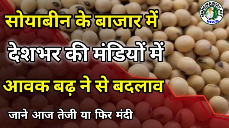 Soyabin ka Bhav : आज कहां-कहां सोयाबीन हुई तेज !