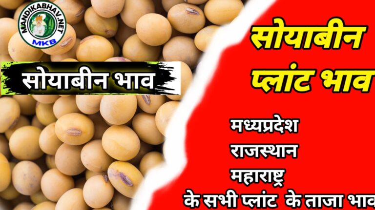 Soybean plant delivery rate today: आज कैसे खरीदारी चली सोयाबीन प्लांट में सोयाबीन की तेजी में या फिर मंदी में