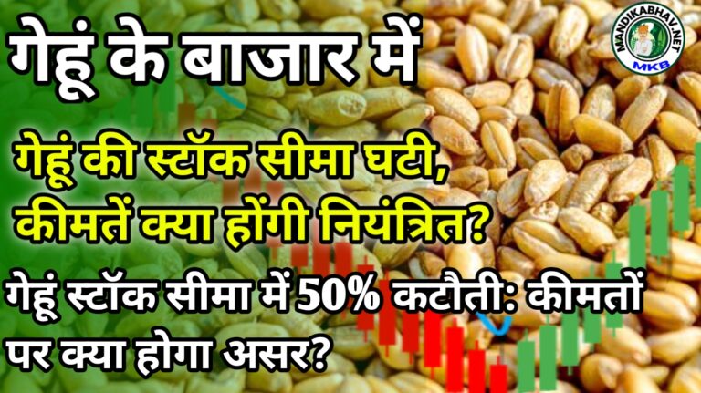 Wheat Market news: गेहूं स्टॉक सीमा में 50% कटौती: कीमतों पर क्या होगा असर ?