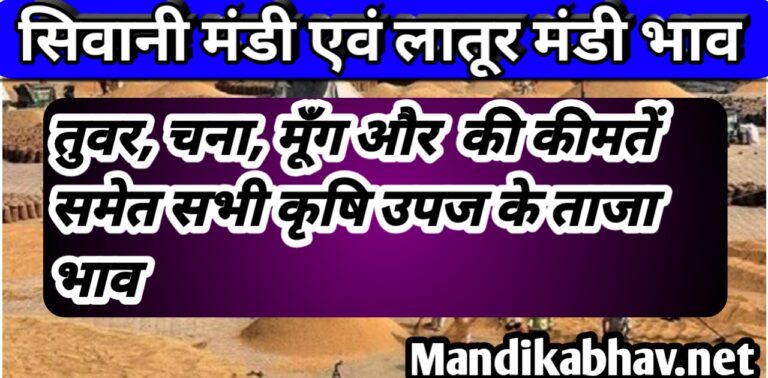 Latur Shivani Mandi Prices: Prices of Tuvar, Chana, Moong and others : लातूर मंडी एवं सिवानी मंडी भाव: तुवर, चना, मूँग और अन्य की कीमतें
