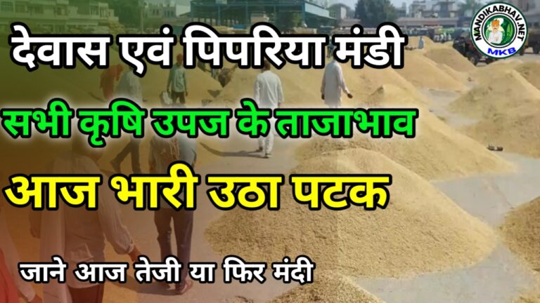 Mandi Update news: देवास और पिपरिया मंडी भाव: कृषि उत्पादों की कीमतें और आवक की जानकारी