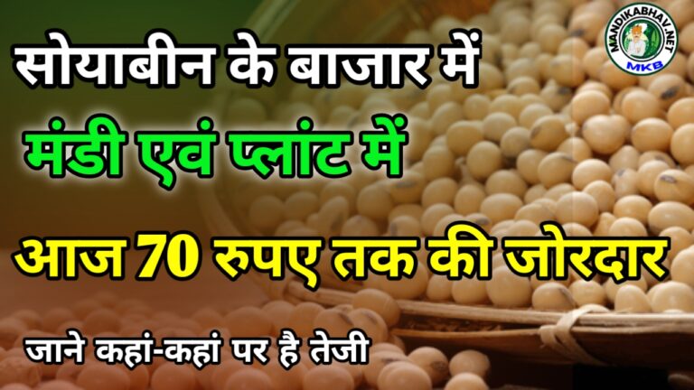 Soybean rete today:आज काफी दिनों बाद सोयाबीन के बाजार में देखने को मिली है तेजी जाने कौन-कौन सी मंडियों में बिक रही है सोयाबीन तेज