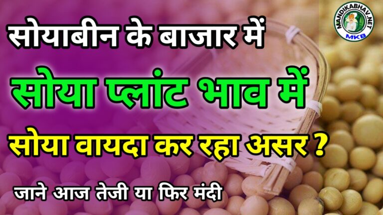 Soyabean Ka Aaj Ka Bhav