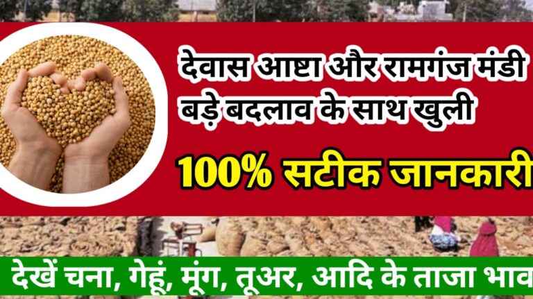 All Commodity Price of Market