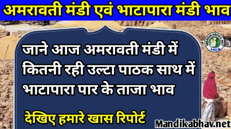 Amravati And Bhatapara Mandi Bhav