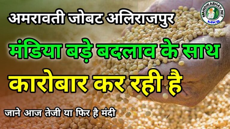 Amravati jobat alirajapur ka bhav अमरावती जोबट और अलीराजपुर के ताजा रेट !