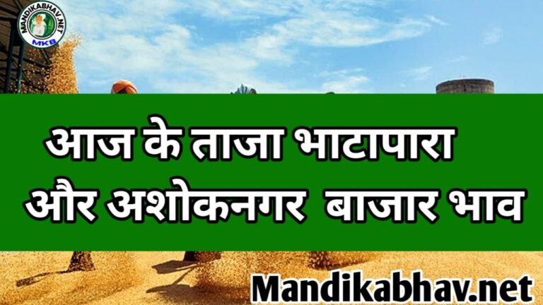 Bhatapara and Ashoknagar Market Commodity Price Today