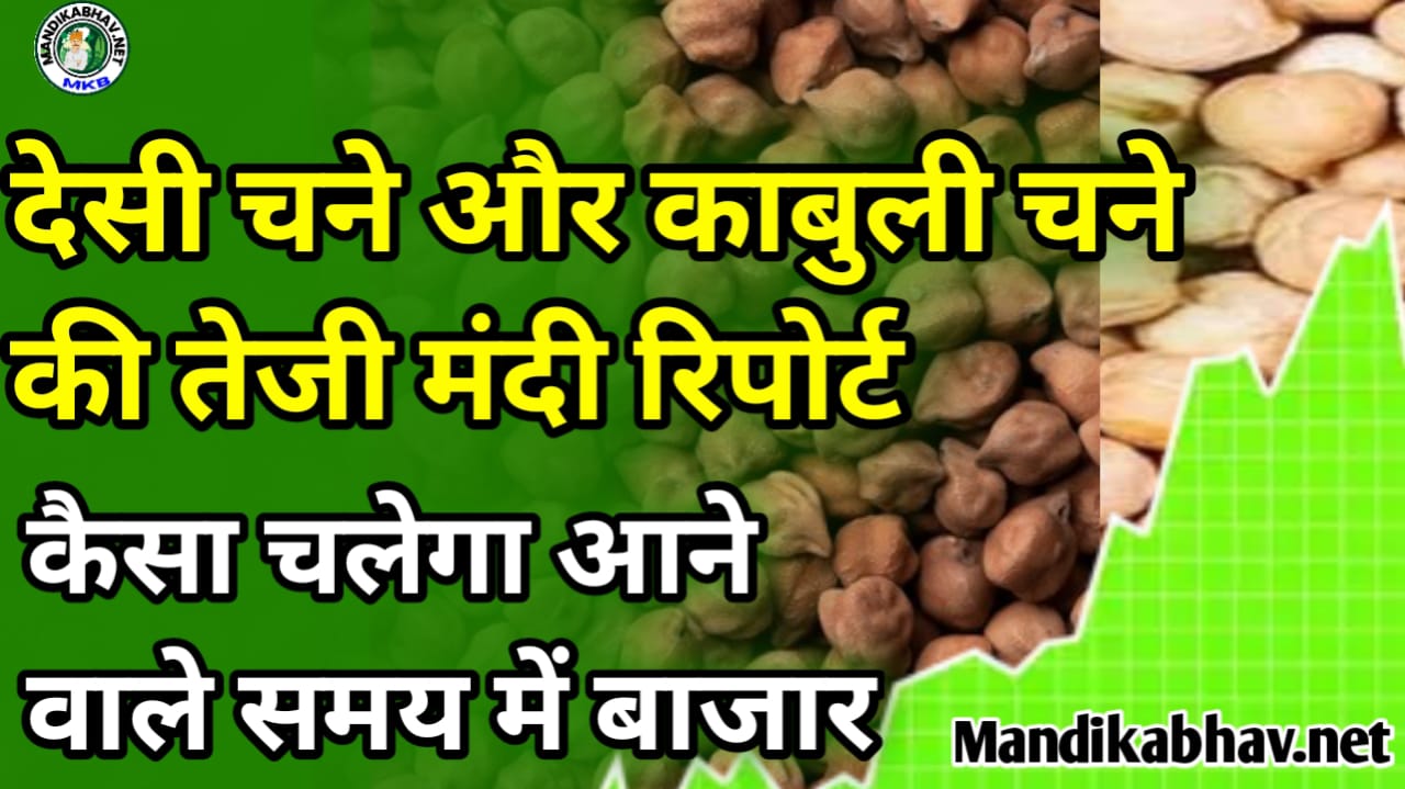 Chana report Update डालर चने में तेजी कब आएगी की चने की विशेष तेजी मंदि रिपोर्ट !