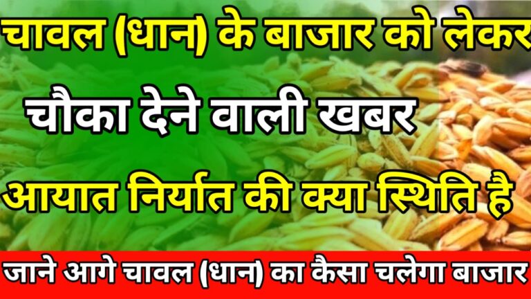 Commodity News