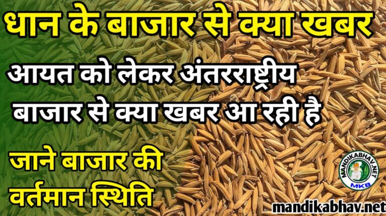 Dhan Ka Bhav 