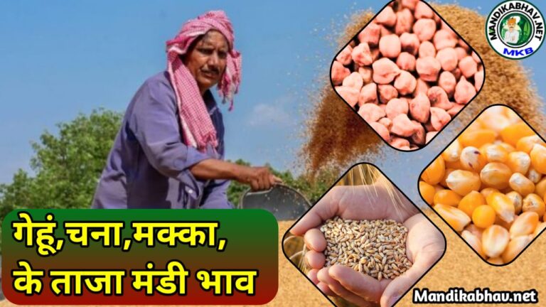 Commodities Mandi Price