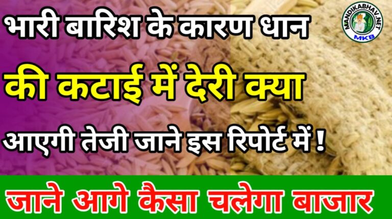 Commodity News