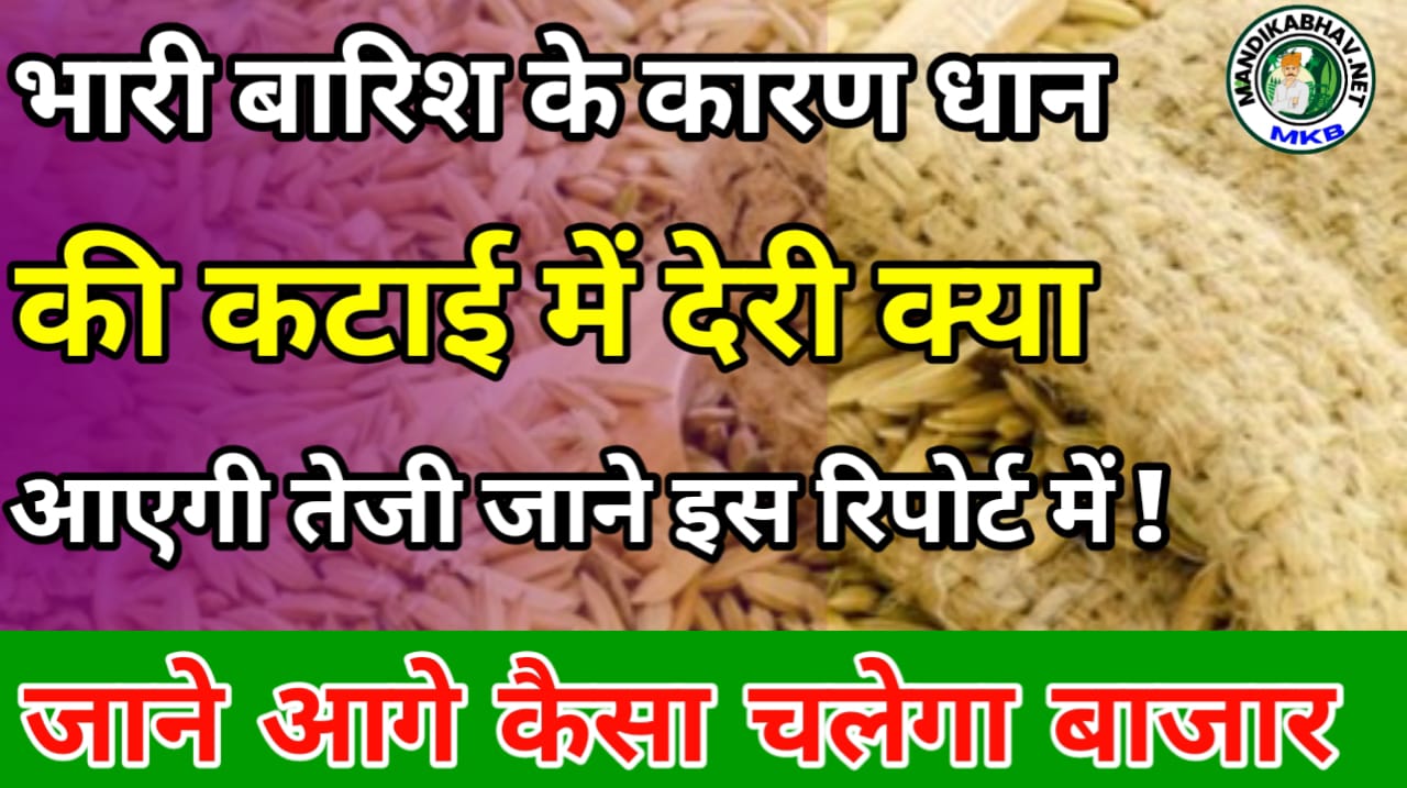 Commodity News