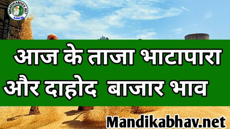 Dahod Bhatapara Mandi Ka Bhav दाहोद और भाटापारा मंडी में चना तुवर गेहूं मक्का का क्या भाव है
