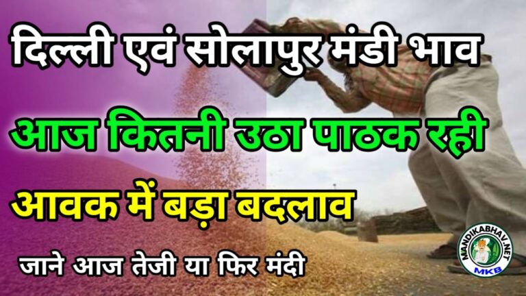 Delhi And Rajkot Market update दिल्ली और राजकोट बाजार आज क्या खुला !