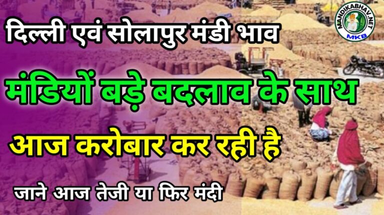 Delhi Mandi Solapur Ka bhav दिल्ली और सोलापुर मंडी में आज क्या है स्थिति