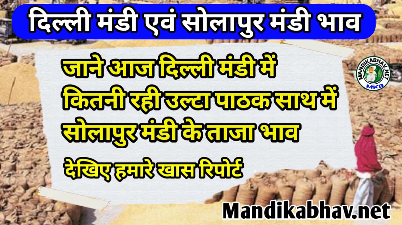 Delhi Solapur Market Today आज चने में आए तेजी गेहूं तुवर और मूंग की स्थिति जाने  !