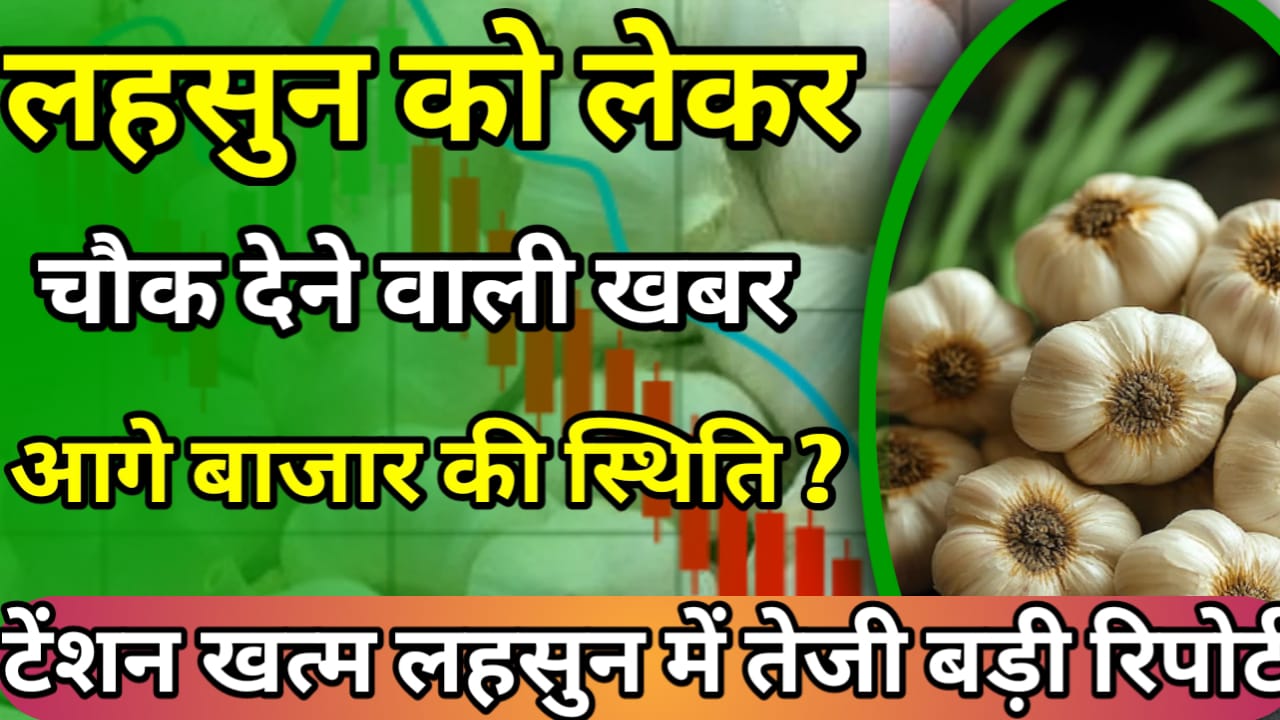 Garlic Price 2025