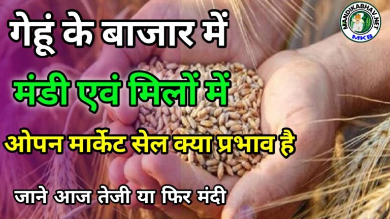 Gehu ka bhav गेहूं मंडियो में आज कैसा रहा माहौल