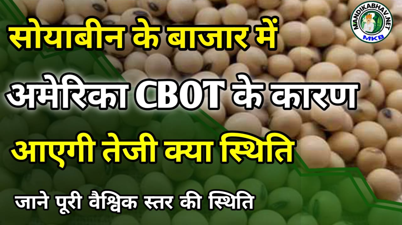 Soyabin ka taja bhav