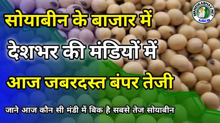 Soyabeam mandi Price