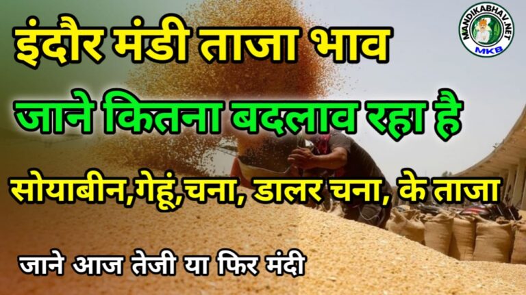 Indore mandi Bhav  इंदौर मंडी सोयाबीन डालर चना गेहूं में हुआ बड़ा बदलाव !