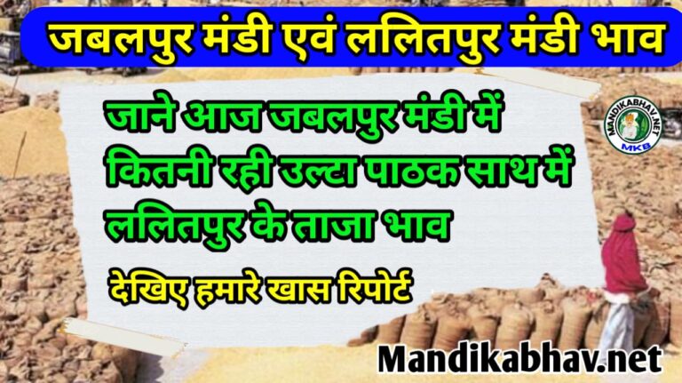 Jabalpur and Lalitpur Mandi bhav